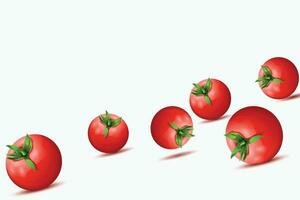 tomaten rollend Aan wit vector