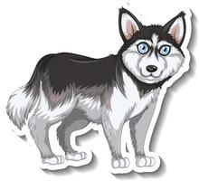 stickerontwerp met geïsoleerde Siberische huskyhond vector