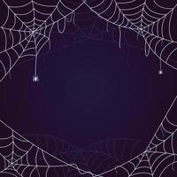 spinnenweb op blauwe achtergrond vector