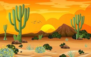 woestijn boslandschap bij zonsondergang tijdscène met veel cactussen vector