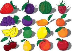 fruit collectie vectorillustratie vector