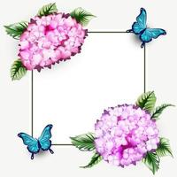 hortensia bloemen achtergrond frame met vlinder vector