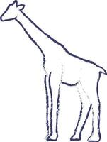 giraffe hand- getrokken vector illustratie