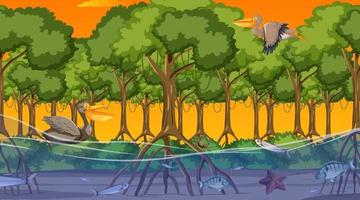 dieren leven in mangrovebos bij zonsondergangtijdscène vector