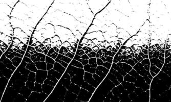 zwart en wit abstract achtergrond met bladeren vector