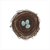 gemakkelijk illustratie logo van een natuurlijk nest met eieren vector