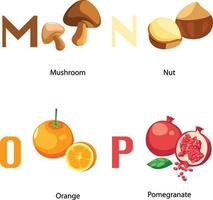 alfabet mp letter.mushroom,nut ,oranje,granaatappel .vector vector