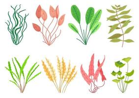 schattige cartoon aquariumplanten set. natuur natuur vector