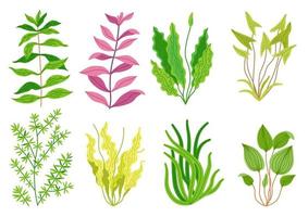 schattige cartoon aquariumplanten set. natuur natuur vector