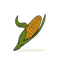 herfst maïs geïsoleerd vector illustratie. thema van oogst, voedsel. kleur tekening single groente.