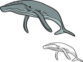 doodle walvis vector illustratie schets doodle handgetekende
