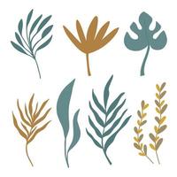 set van abstracte handgetekende tropische boho plant silhouetten vector