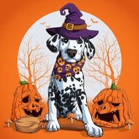 Dalmatische hond in Halloween-vermomming zittend op een heksenbezem vector