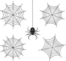 spinnenweb en spin vector