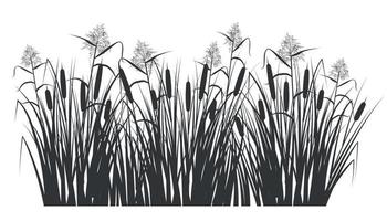 silhouet van riet en riet in groen gras. moeras en rivier