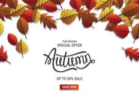 speciale aanbieding herfst verkoop banner met bladeren en witte achtergrond vector