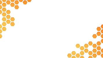 honingraat bijenkorf zeshoek gelaagde vector