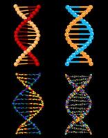 dna, genetisch teken, elementen en pictogrammen verzameling. dna structuur molecuul icoon. vector molecuul. chromosoom icoon