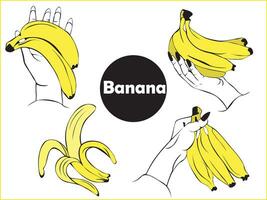 reeks van illustraties van vrouw handen Holding bundel van vers rijp geel bananen geïsoleerd Aan wit achtergrond. tropisch voedzaam fruit en Gezondheid. vector