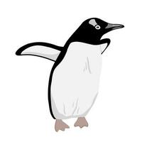 schattig pinguïn. vlak vector illustratie geïsoleerd Aan wit. polair dier