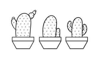 hand- getrokken cactus illustratie met drie verschillend cactus vormen2 vector