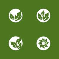 groen blad natuur fabriek conceptuele symbool vector illustratie