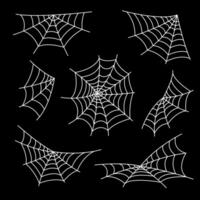 spin webben Aan zwart vector