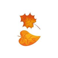 seizoen herfst bladeren geïsoleerde icon vector