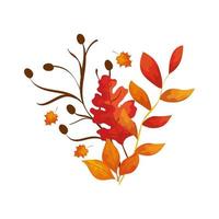 seizoen herfsttakken met bladeren vector