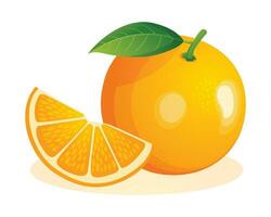 oranje fruit geheel en besnoeiing gesneden. vector illustratie geïsoleerd Aan wit achtergrond