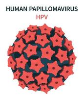 celstructuur van het humaan papillomavirus hpv vector