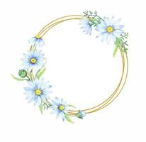 goud kader, krans met kamille bloemen. bloemen ronde grens van madeliefjes, waterverf illustratie vector