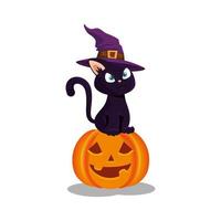 kat met hoed heks in pompoen halloween vector