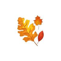 seizoen herfst bladeren geïsoleerde icon vector