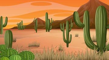 woestijn boslandschap bij zonsondergang tijdscène met veel cactussen vector