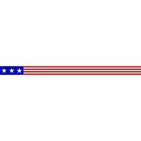 Verenigde Staten van Amerika vlag lijn verdeler vector