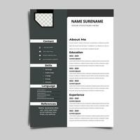 professioneel hervat CV vector grafisch Sjablonen