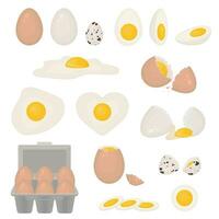 tekenfilm kleur eieren verschillend vormen pictogrammen set. vector