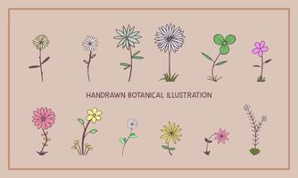 botanische illustratie in verschillende stijl vector