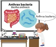 jonge dokter legt miltvuurbacteriën uit vector