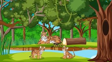 tijgerfamilie in bos- of regenwoudscène met veel bomen vector