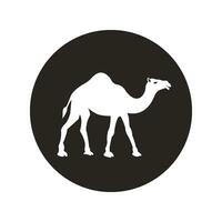kameel icoon ontwerp vector
