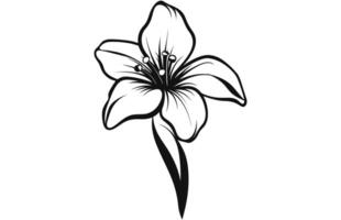 lijn kunst vanille bloem illustratie, vanille bloem schetsen inkt vector illustratie.