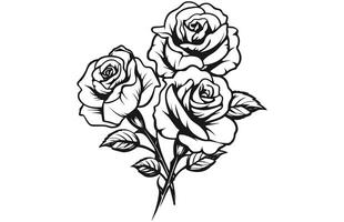 haveloos chique rozen verzameling in zwart en wit, decoratief element met schets rozen. vector