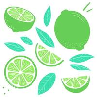 limoen vector illustratie klem kunst set, citrus fruit en bladeren