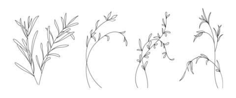 reeks van minimalistische botanisch lijn elegant bladeren Afdeling vector