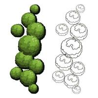 bomen voor de meester plan. boom voor bouwkundig verdieping plannen. entourage ontwerp. divers bomen, struiken, en struiken, top visie voor de landschap ontwerp plan. vector illustratie.