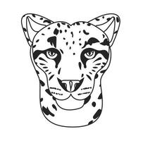 wilde kat, irbis, luipaard, sneeuwbars vector
