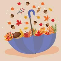 Hallo herfst. herfst bladeren, eikels en champignons vallen in een paraplu. esdoorn- blad val. vector illustratie