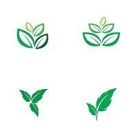 groen blad ecologie natuur element vector